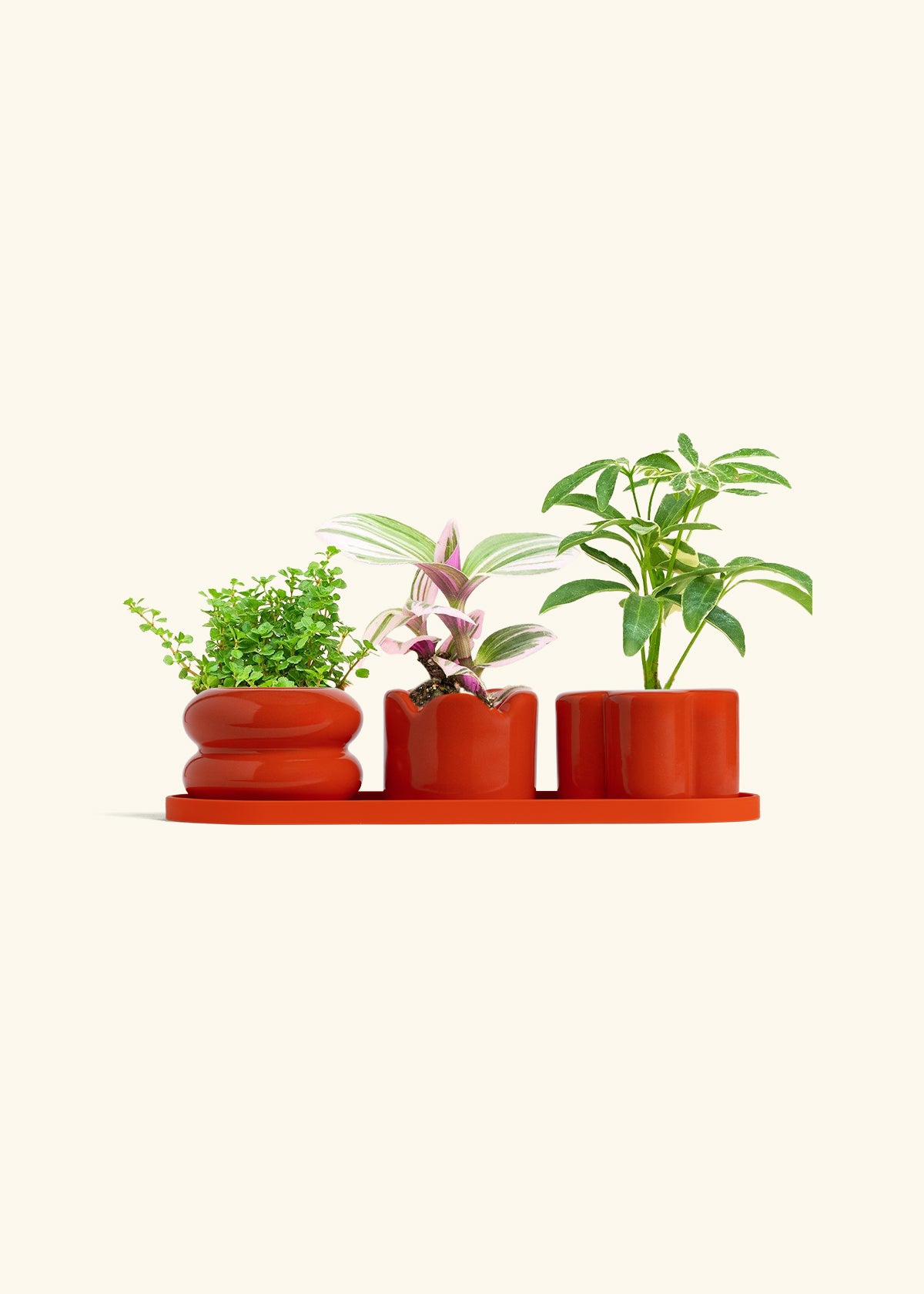 Mini Planter Trio, Poppy